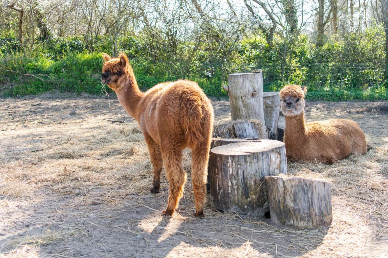 Camping Les Carolins Saint-Lo-d'Ourville Esterno foto